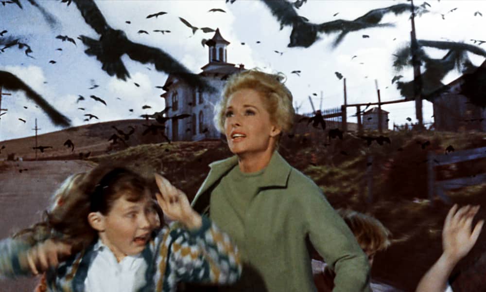 Tippi Hedren in The Birds (1963).