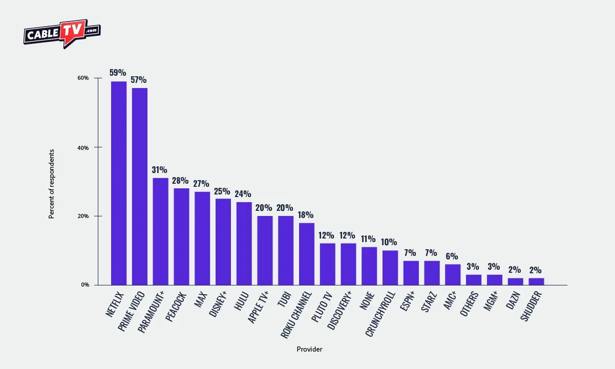 Bar chart representing the number of subscribers for each streaming service. Netflix and Prime Video are far ahead of Paramount+, the next most popular service. The services with the smallest number of subscribers are MGM+, DAZN, and Shudder